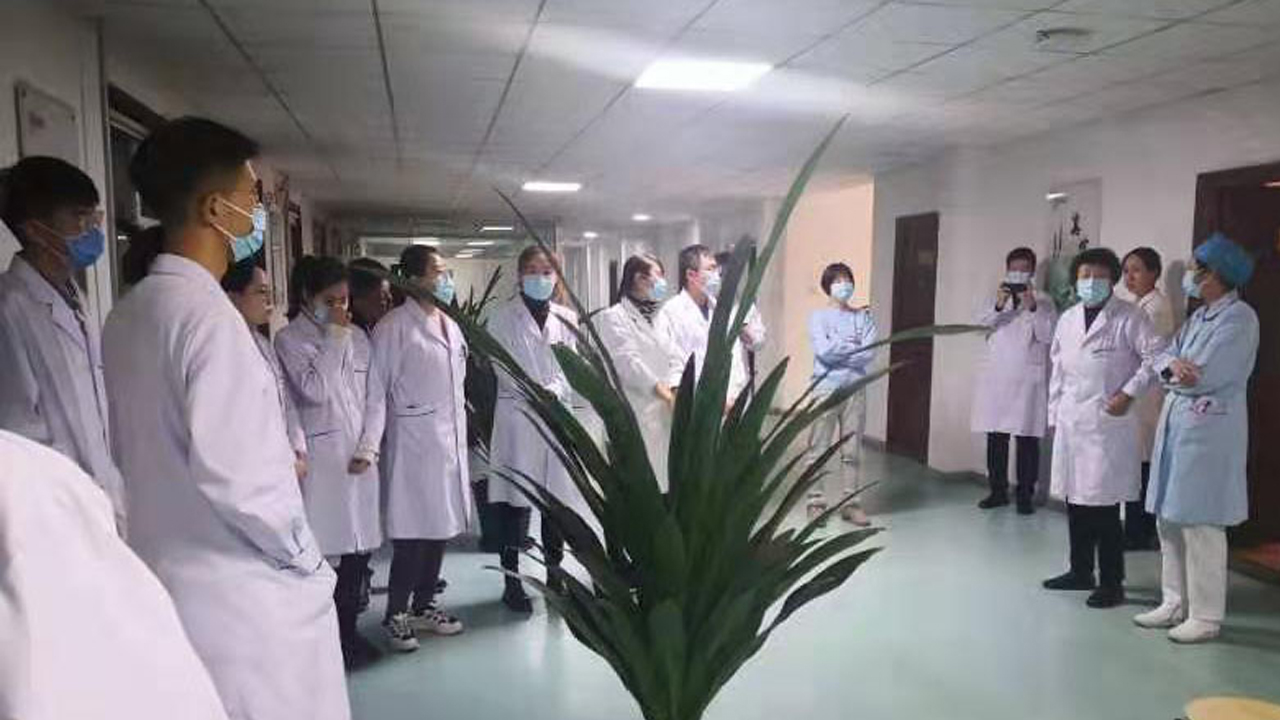 二人麻将
职能科室投入疫情防控一线