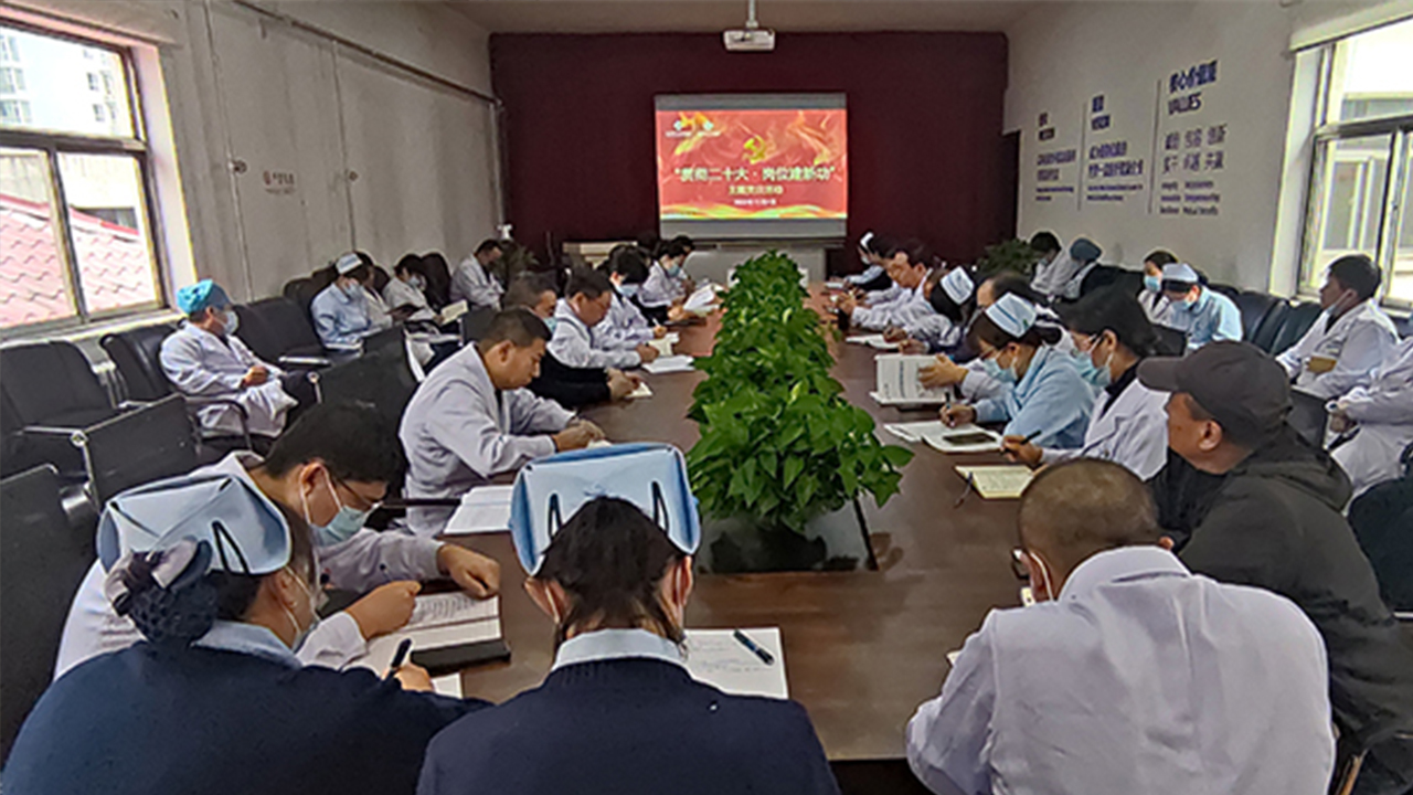 二人麻将指南网
开展“贯彻二十大、岗位建新功”主题党日活动