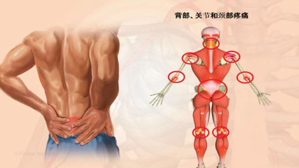 二人麻将指南网
康复医学科门诊特色手法技术介绍——意大利筋膜手法