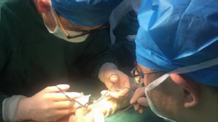 二人麻将指南网
开展首例透析患者自体动静脉内瘘成形术