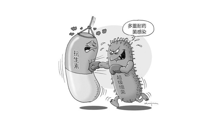 二人麻将指南网
 【应急演练】多重耐药菌感染疑似二人麻将
感染暴发