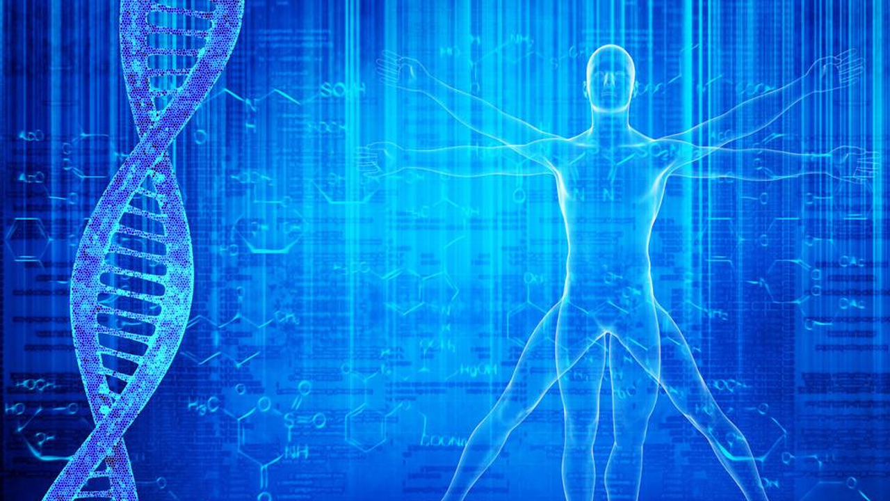 免疫“指纹”揭示疾病更佳疗法