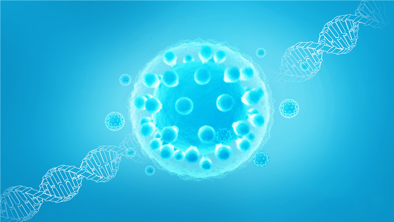 靶向蛋白降解药物：细胞内做“猎头”，“借刀”灭掉致病蛋白