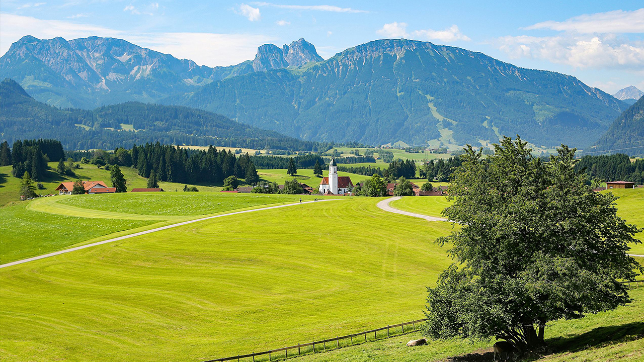 努力创造新时代高质量发展的标杆”